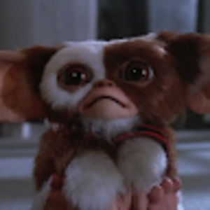 Meet your Posher, Pauline